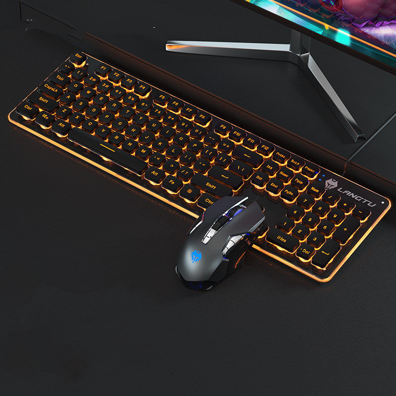 Wired Luminous USB Gaming & Office Keyboard