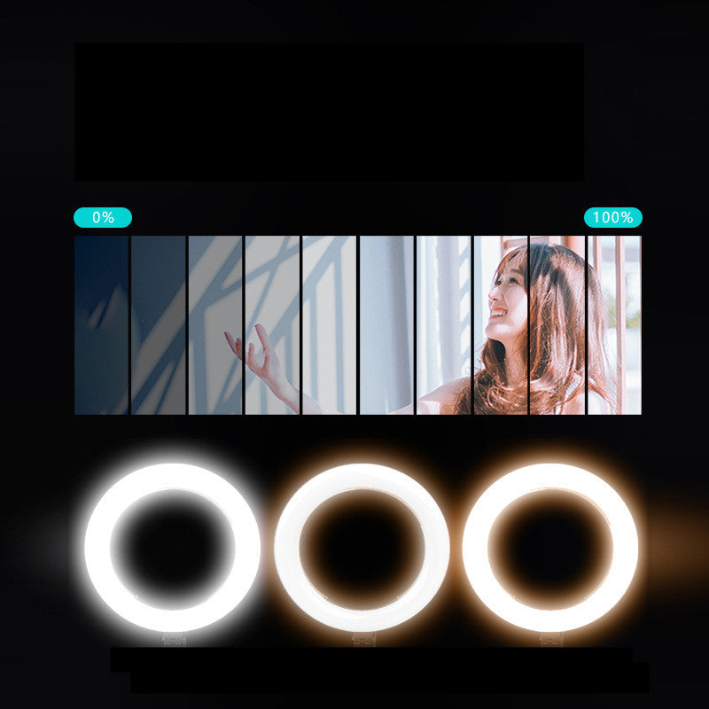 10-Inch LED Desktop Fill Light for Video Recording