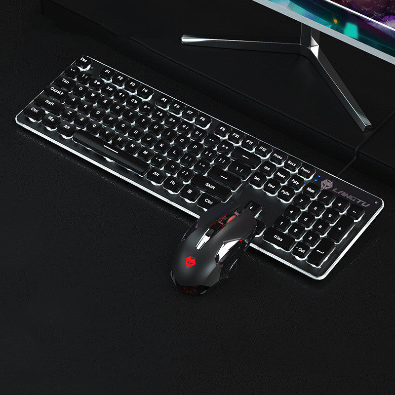 Wired Luminous USB Gaming & Office Keyboard