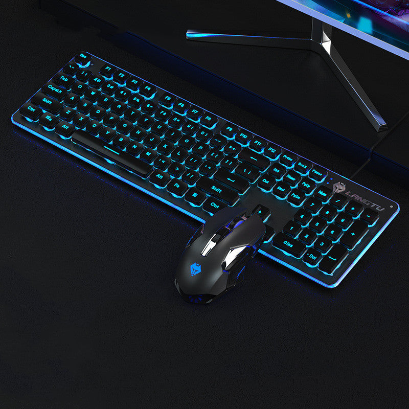 Wired Luminous USB Gaming & Office Keyboard