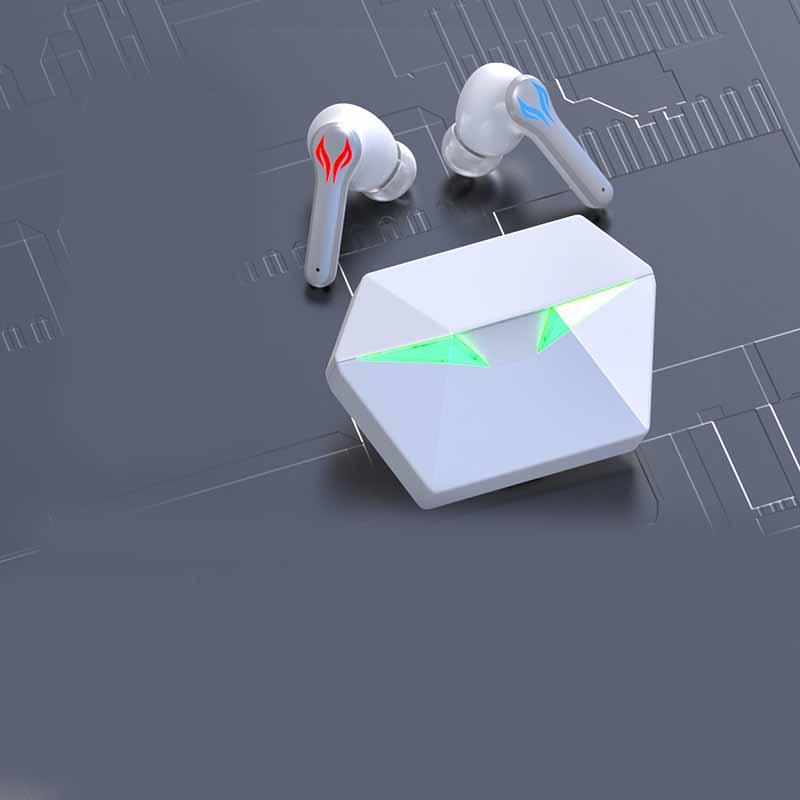 Bluetooth Wireless ANC Sport Earbuds with Case
